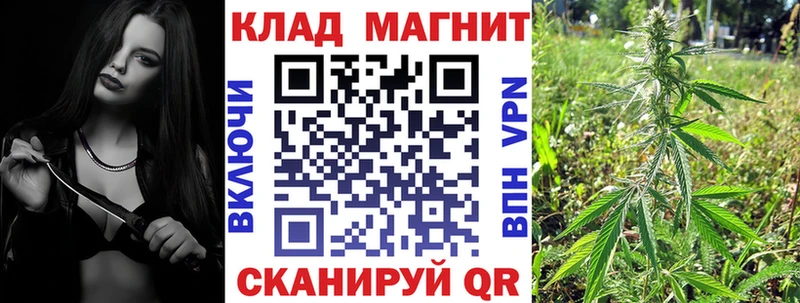 Купить закладку Псилоцибиновые грибы МДМА A-PVP АМФ МЕФ Пучеж