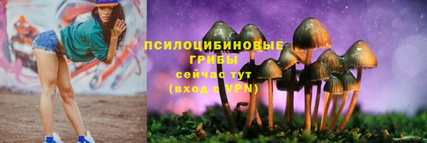 не бодяженный Арсеньев