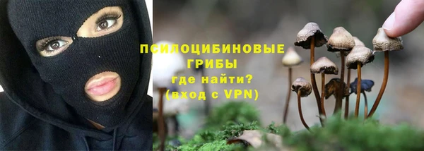 индика Аркадак