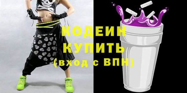 индика Аркадак