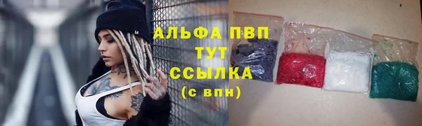 индика Аркадак