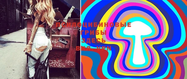 не бодяженный Арсеньев