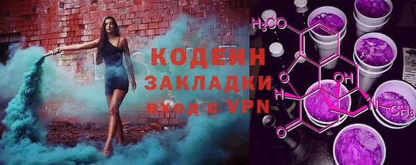 индика Аркадак
