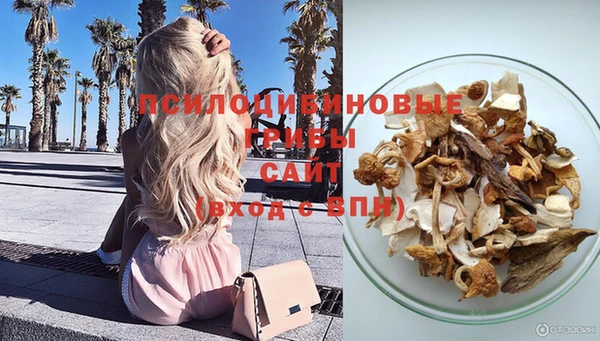 не бодяженный Арсеньев