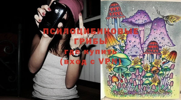 индика Аркадак
