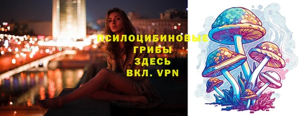дживик Баксан