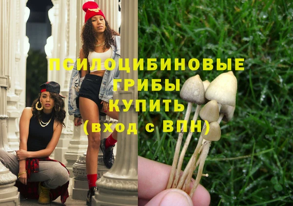 индика Аркадак