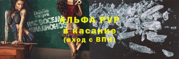 индика Аркадак