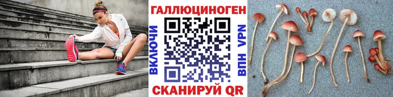 Псилоцибиновые грибы мухоморы Купить Пучеж